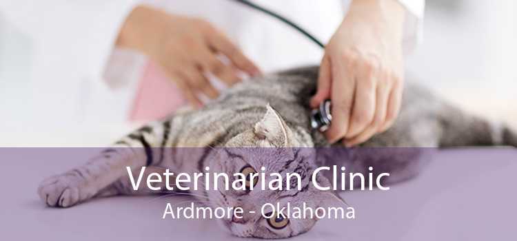 Veterinarian Clinic Ardmore - Oklahoma
