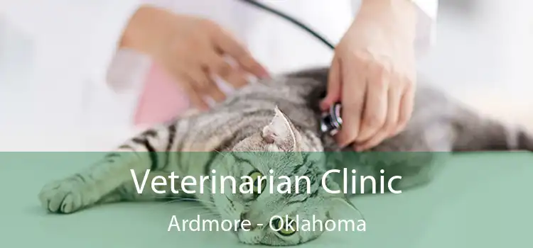 Veterinarian Clinic Ardmore - Oklahoma