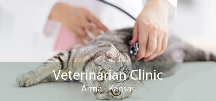 Veterinarian Clinic Arma - Kansas