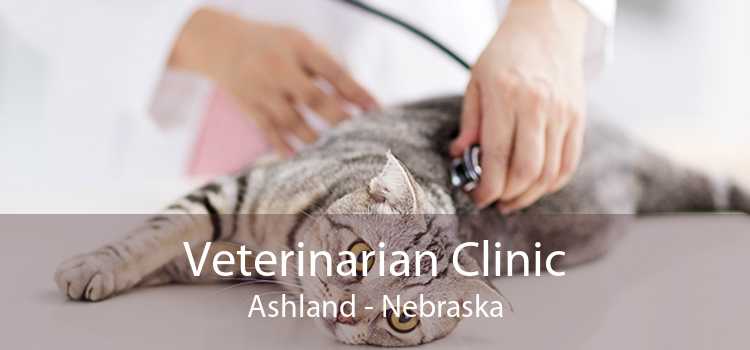 Veterinarian Clinic Ashland - Nebraska