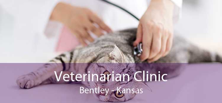 Veterinarian Clinic Bentley - Kansas