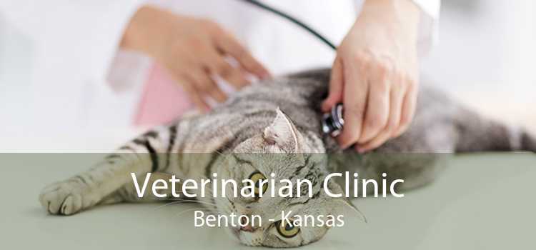 Veterinarian Clinic Benton - Kansas