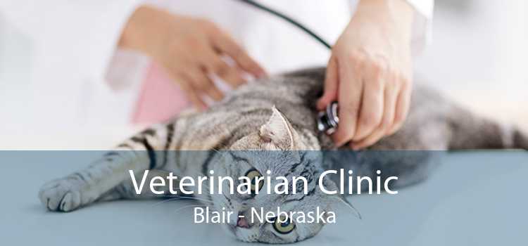 Veterinarian Clinic Blair - Nebraska
