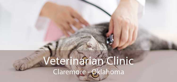 Veterinarian Clinic Claremore - Oklahoma