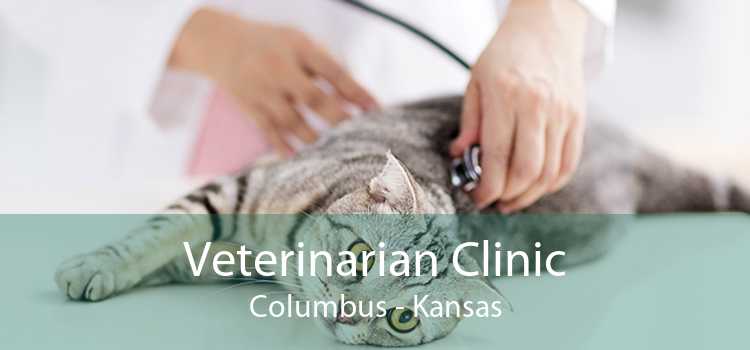 Veterinarian Clinic Columbus - Kansas