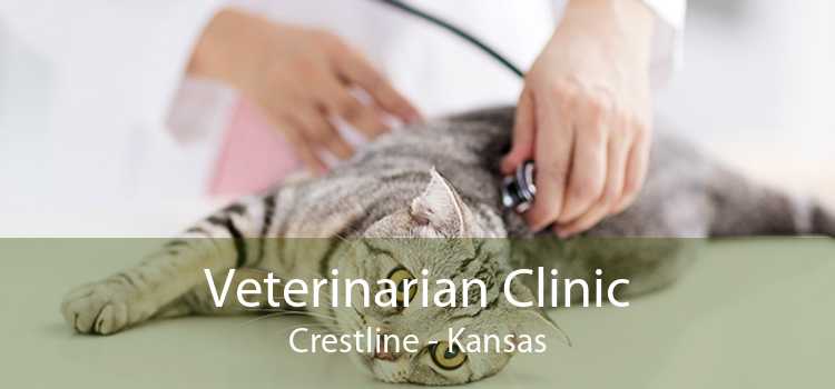 Veterinarian Clinic Crestline - Kansas