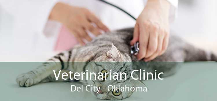 Veterinarian Clinic Del City - Oklahoma