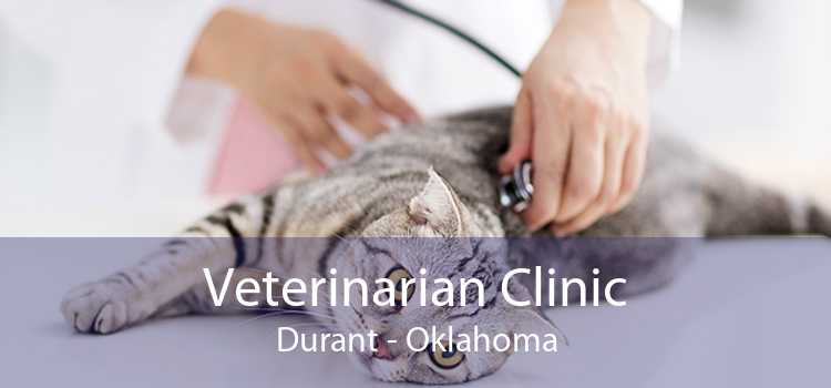 Veterinarian Clinic Durant - Oklahoma