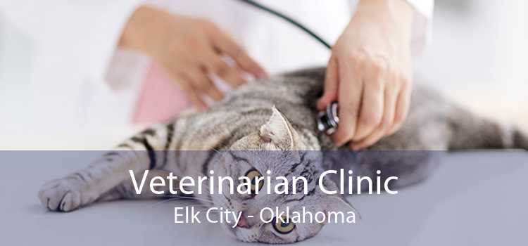 Veterinarian Clinic Elk City - Oklahoma