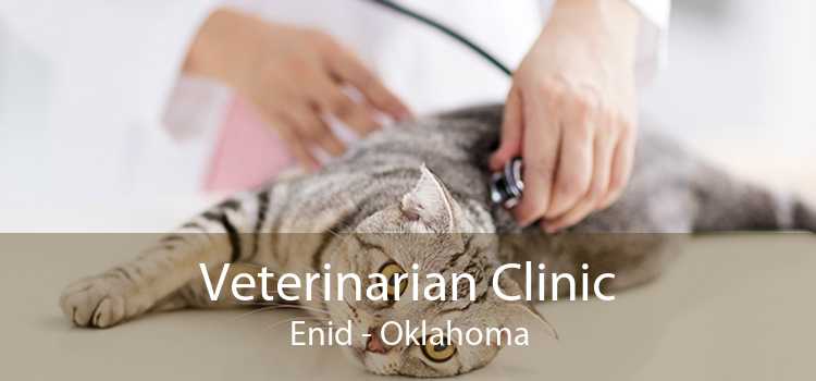 Veterinarian Clinic Enid - Oklahoma