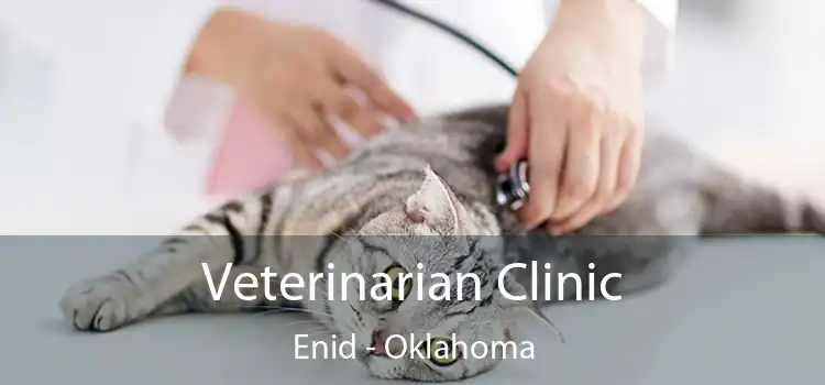 Veterinarian Clinic Enid - Oklahoma