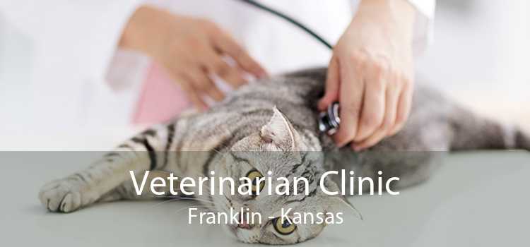 Veterinarian Clinic Franklin - Kansas
