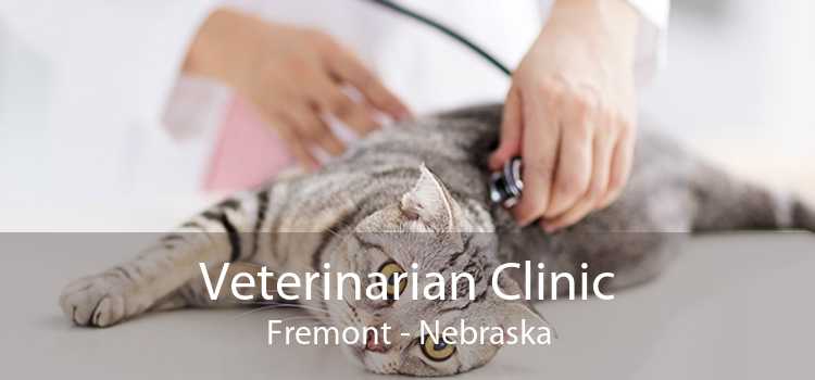 Veterinarian Clinic Fremont - Nebraska