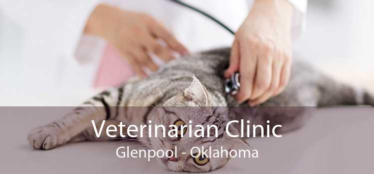Veterinarian Clinic Glenpool - Oklahoma