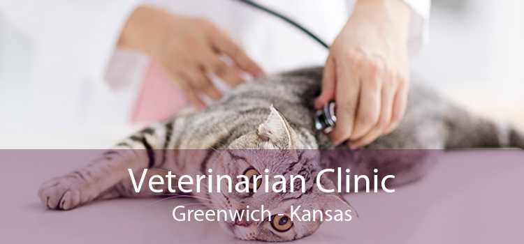 Veterinarian Clinic Greenwich - Kansas