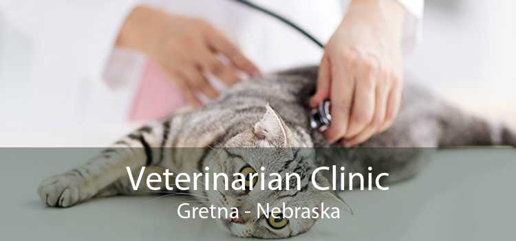 Veterinarian Clinic Gretna - Nebraska