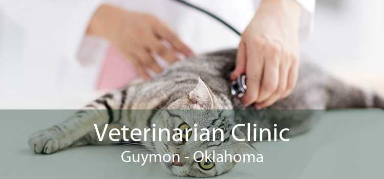 Veterinarian Clinic Guymon - Oklahoma