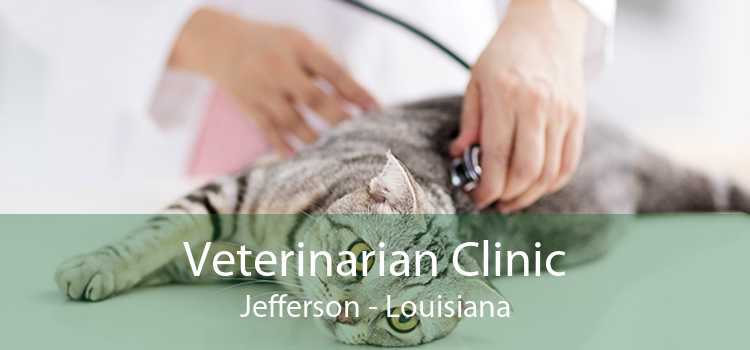Veterinarian Clinic Jefferson - Louisiana