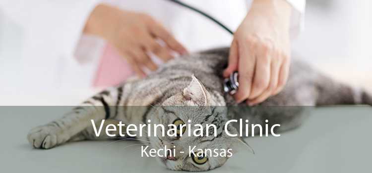 Veterinarian Clinic Kechi - Kansas