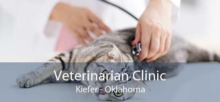 Veterinarian Clinic Kiefer - Oklahoma
