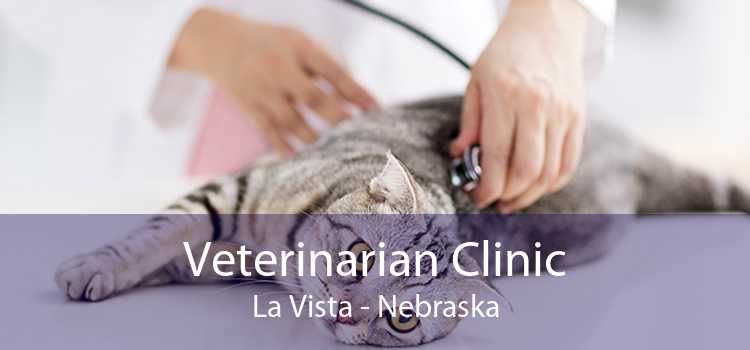 Veterinarian Clinic La Vista - Nebraska