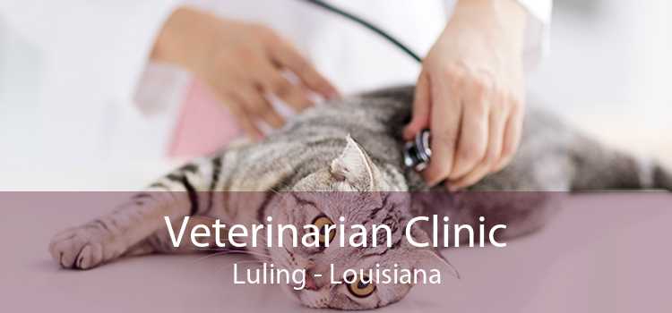 Veterinarian Clinic Luling - Louisiana