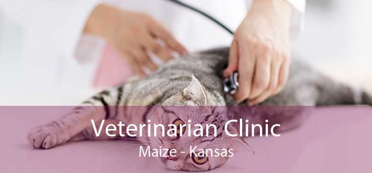 Veterinarian Clinic Maize - Kansas