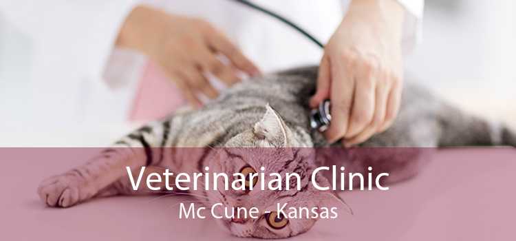 Veterinarian Clinic Mc Cune - Kansas