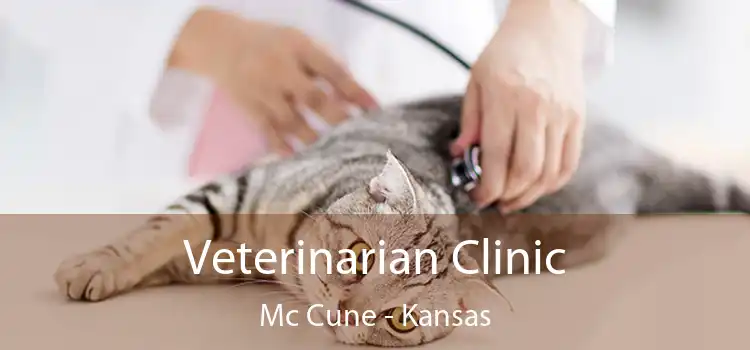 Veterinarian Clinic Mc Cune - Kansas