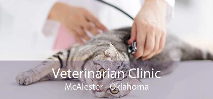 Veterinarian Clinic McAlester - Oklahoma