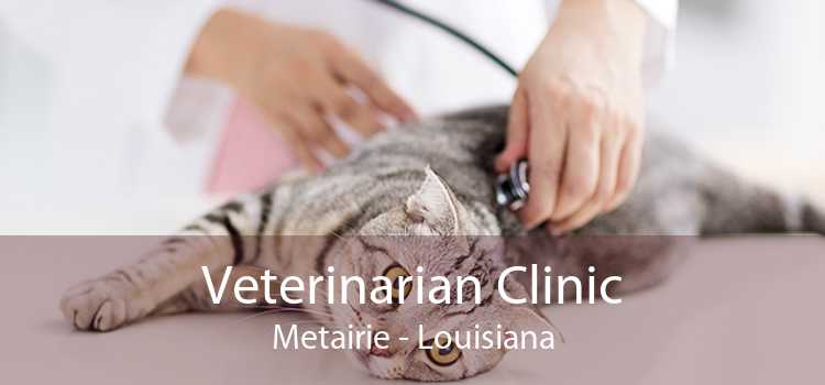 Veterinarian Clinic Metairie - Louisiana