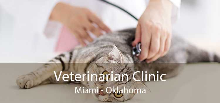 Veterinarian Clinic Miami - Oklahoma