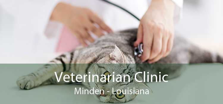 Veterinarian Clinic Minden - Louisiana