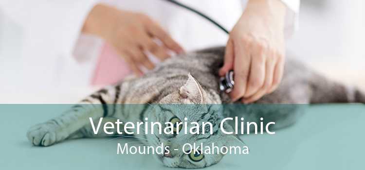 Veterinarian Clinic Mounds - Oklahoma