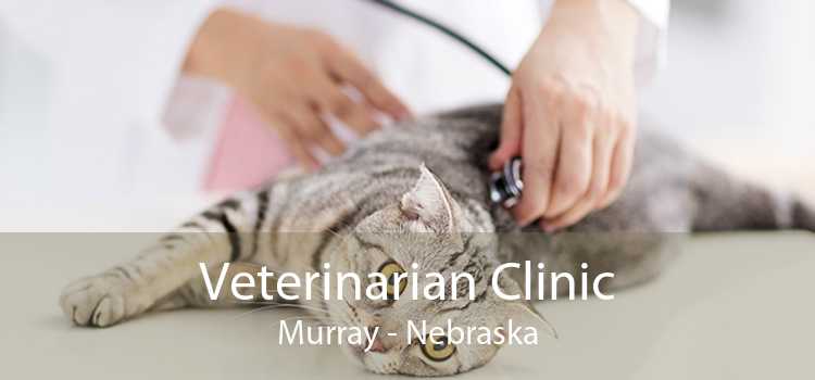 Veterinarian Clinic Murray - Nebraska