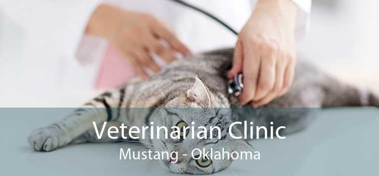 Veterinarian Clinic Mustang - Oklahoma