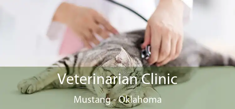 Veterinarian Clinic Mustang - Oklahoma