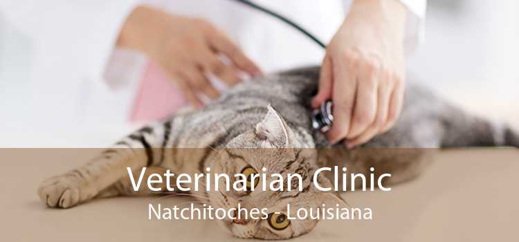 Veterinarian Clinic Natchitoches - Louisiana