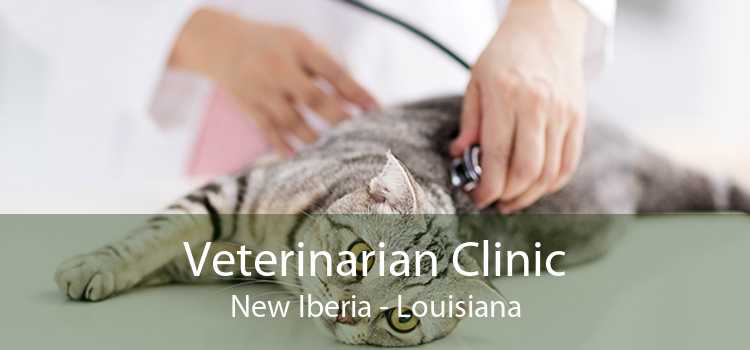 Veterinarian Clinic New Iberia - Louisiana