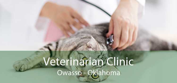 Veterinarian Clinic Owasso - Oklahoma