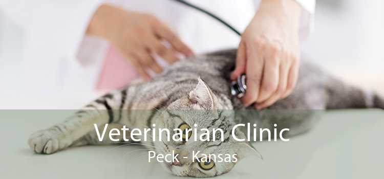 Veterinarian Clinic Peck - Kansas
