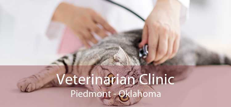 Veterinarian Clinic Piedmont - Oklahoma