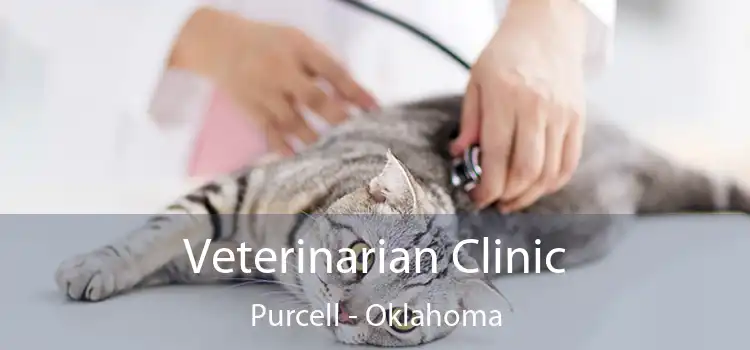 Veterinarian Clinic Purcell - Oklahoma