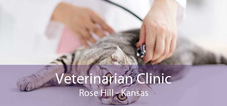Veterinarian Clinic Rose Hill - Kansas