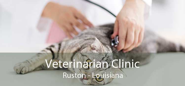 Veterinarian Clinic Ruston - Louisiana
