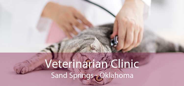 Veterinarian Clinic Sand Springs - Oklahoma