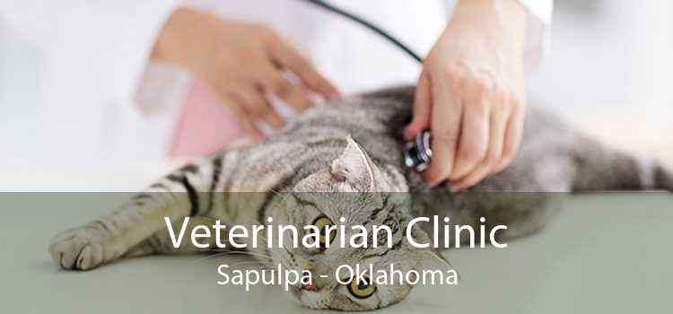 Veterinarian Clinic Sapulpa - Oklahoma