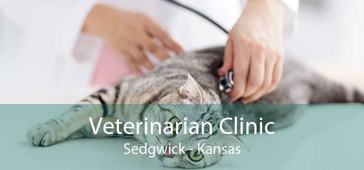 Veterinarian Clinic Sedgwick - Kansas