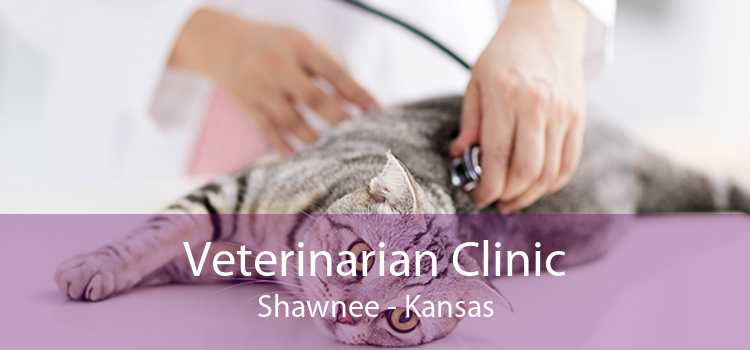 Veterinarian Clinic Shawnee - Kansas