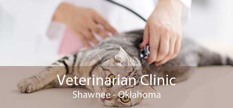 Veterinarian Clinic Shawnee - Oklahoma